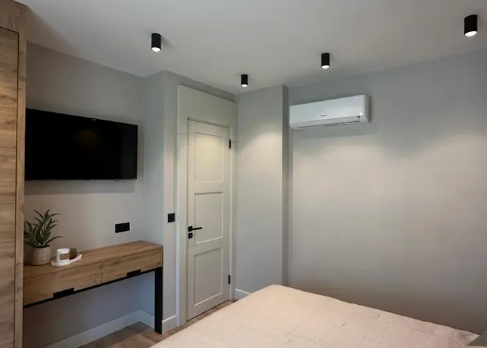 Vip Anvers 50 Elenite